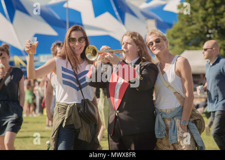 Brixton, London, UK. 2. Juni 2018. Field Day Festival in Brockwell Park, South London. Credit: Jamie Gray/Alamy leben Nachrichten Stockfoto