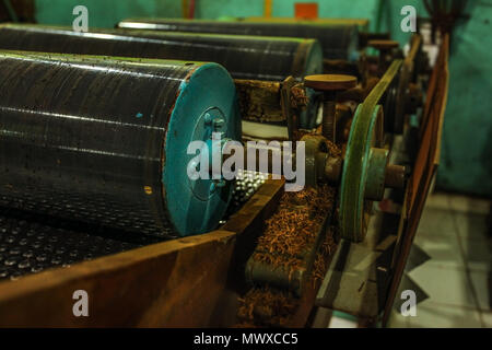 Schwere Rolle Maschine in Kaffee Verarbeitung Fabrik, einige getrocknete Blätter auf rostigen Gerät teilen. Stockfoto