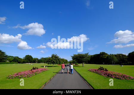 Phoenix Park, Dublin, Republik Irland, Europa Stockfoto