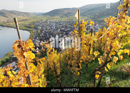 Blick vom Calmont Hügel zu Bremm, Mosel, Rheinland-Pfalz, Deutschland, Europa Stockfoto