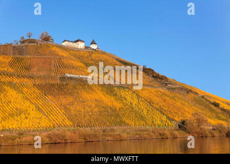 Schloss Marienburg, Mosel, Punderich, Rheinland-Pfalz, Deutschland, Europa Stockfoto