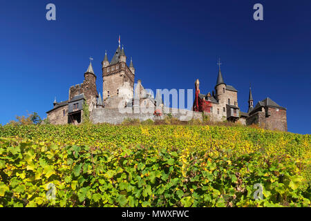 Die Reichsburg und die Weinberge im Herbst, Cochem, Mosel, Rheinland-Pfalz, Deutschland, Europa Stockfoto