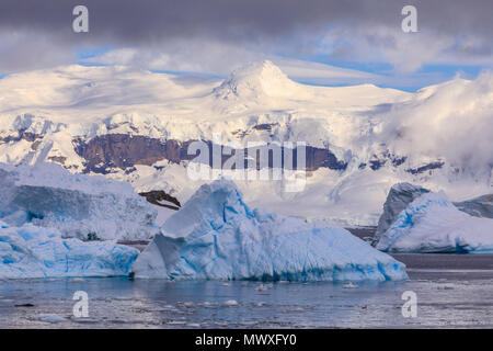 Blaue Eisberge und Berge, aus Cuverville Island, errera Channel, Danco Coast, Antarktische Halbinsel, Antarktis, Polargebiete Stockfoto