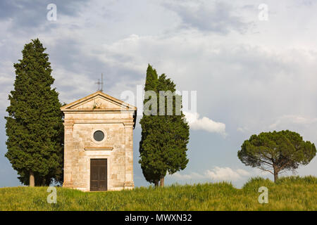 Alte Kirche von Vitaleta mit Bäumen auf beiden Seiten in San Quirico d'Orcia, in der Nähe von Pienza, Toskana, Italien im Mai - Kapelle der Madonna di Vitaleta Stockfoto