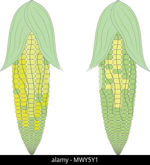 Mais Farbe vector Abbildung Stock Vektor