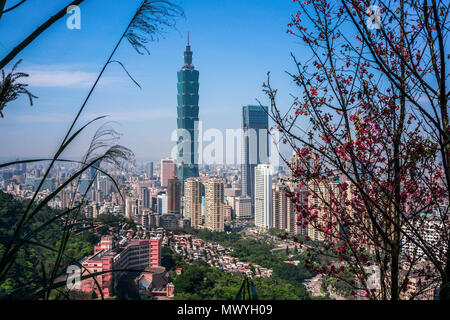 Taipei City Skyline mit Taipeh 101 Gebäude in der Mitte der Natur von Elephant Mountain in Taiwan gesehen Stockfoto