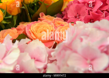 Schöne frische Blumen Stockfoto