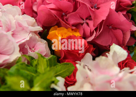 Schöne frische Blumen Stockfoto