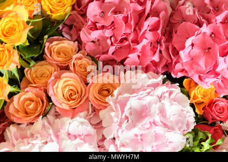 Schöne frische Blumen Stockfoto
