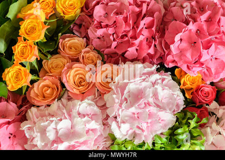 Schöne frische Blumen Stockfoto