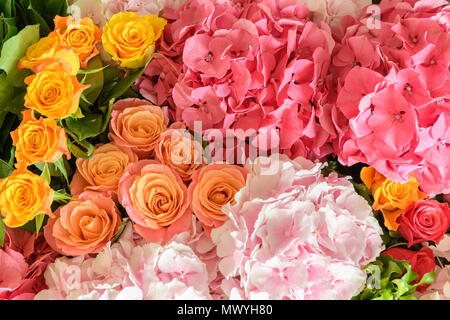 Schöne frische Blumen Stockfoto