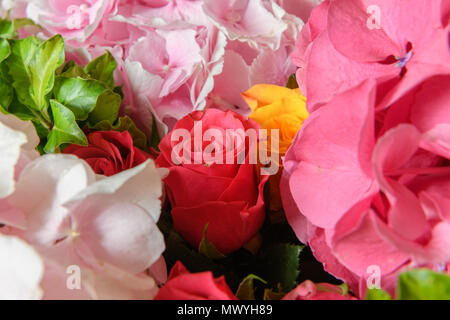 Schöne frische Blumen Stockfoto