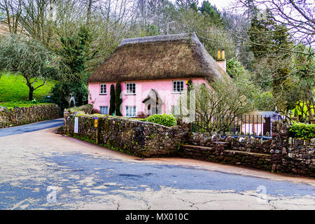 Ein rosa Deutsch Country Cottage in Devon Stockfoto