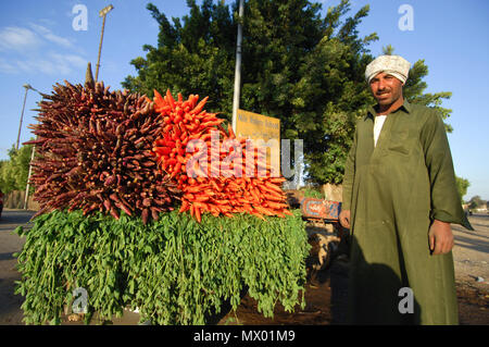 Ägyptische Bauern verkaufen Karotten neben der Straße, Kairo, Ägypten am 02-09-2006 Stockfoto