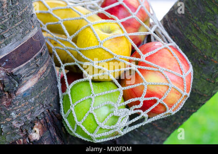 Trendy string Beutel mit Früchten. Warenkorb legen. Trendy closeup für Lifestyle Design. Frisches Obst. Stoffbeutel. Ökologische Beutel - eine Alternative zur polyethyl Stockfoto