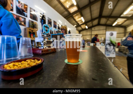 Baa Brauen Nacht tippen. Unabhängige Chepstow Handwerk ale Sudhaus hält eine monatliche Nacht tippen, so dass die Öffentlichkeit ihre Biere probieren können. Stockfoto