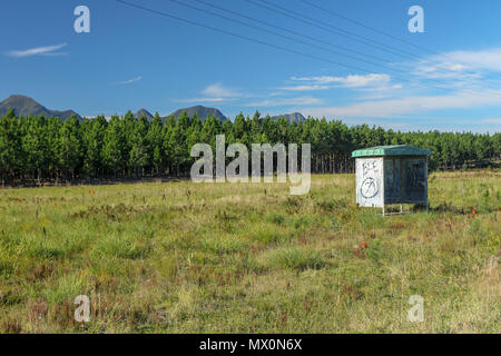 Tierheim in Sonnenbeschienenen Feld an der Straße nach Coldstream, weg von der Garden Route in den Tsitsikamma Region von Südafrika Stockfoto