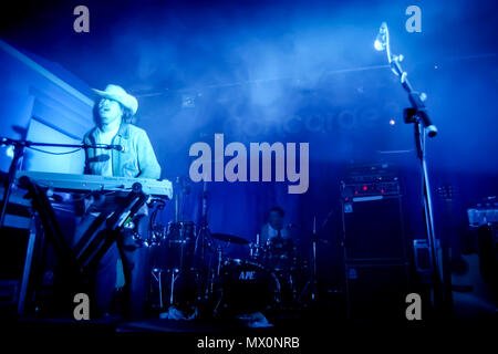 Die Lawinen live in Brighton Concorde 2 Veranstaltungsort Stockfoto