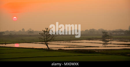 Sonnenaufgang über den Teich mit Reflexion Chiang Mai Nordthailand Stockfoto