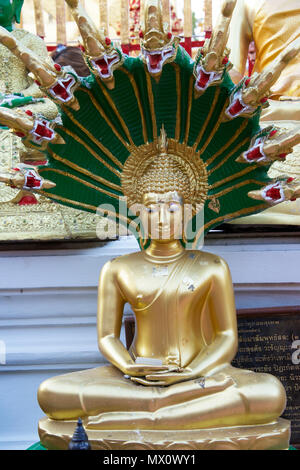 Sitzender Buddha mit Dragon Kopfbedeckungen Wat Phrathat Doi Suthep Chiang Mai Nordthailand Stockfoto