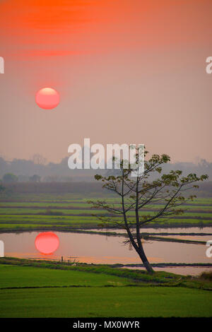 Sonnenaufgang über den Teich mit Reflexion Chiang Mai Nordthailand Stockfoto