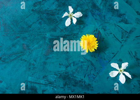 Drei Blumen am trendigen Grunge smaragd-grün leuchtenden Hintergrund. Stockfoto