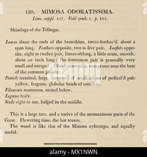 . Englisch: Beschreibung von Albizia odoratissima - "Pflanzen von der Küste von Coromandel: von Zeichnungen und Beschreibungen die Hon ausgewählt. Der Verwaltungsrat der/Publikation info die East India Company': London: Gedruckt von W. Bulmer und Co. für G. Nicol, Buchhändler, 1795-1819. Vor 1819. Roxburgh, William, 1751-1815. Banken, Joseph, Sir, 1743-1820. Bulmer, William, 1757-1830. Mackenzie, D. Nicol, G. 33 Albizia odoratissima 02a Stockfoto