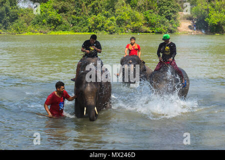 Ayutthaya, Thailand - 12. März 2017: Mahouts, Elefanten und Steuerung einer Badewanne in Elephant Camp in Ayutthaya, Thailand Sumpf zu nehmen Stockfoto