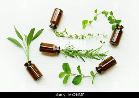 Ansicht von oben, eine Flasche Öl mit Kräutern Salbei, Rosmarin, Oregano, Minze, Thymian. Stockfoto