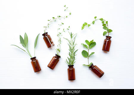 Ansicht von oben, eine Flasche Öl mit Kräutern Salbei, Rosmarin, Oregano, Minze, Thymian und Zitrone Thymian auf weißem Hintergrund. Stockfoto