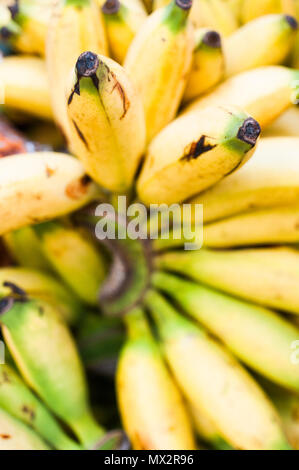 Banane verkauft an eine Frucht in Bali, Indonesien. Flache Tiefenschärfe konzentrieren sich auf die Spitze. Stockfoto