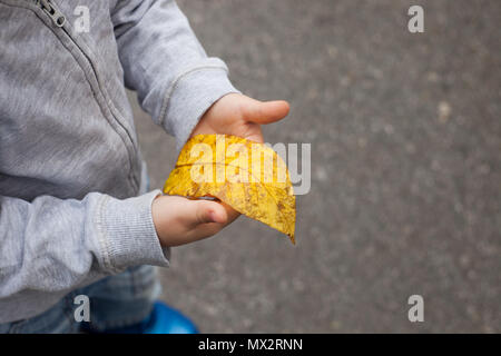 Gelb Herbst verlassen in den Händen. boy Holding ein Blatt in einem öffentlichen Park im Herbst Stockfoto