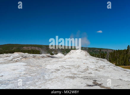 Kahlen Hügel mit dampfender Geysir auf die Oberseite in einem Tal, das von grünen Bäumen, unter strahlend blauem Himmel umgeben. Stockfoto