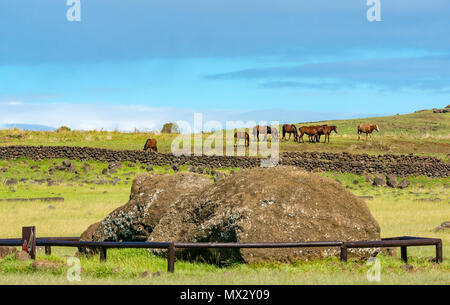 Nahaufnahme von Moai Kopf an Tongariki archäologische Stätte mit wilde Pferde gefallen, Osterinsel, Rapa Nui, Chile Stockfoto