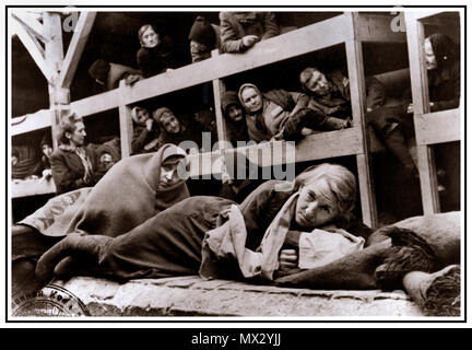 1940 Holocaust WW2 Auschwitz-Birkenau das nationalsozialistische Deutschland Konzentrationslager. Cell Block Interieur mit weiblichen Gefangenen im Gefängnis eingesperrt in Einfrieren statt beengt erniedrigenden unmenschlichen Bedingungen dieses krasse Grim emotionslos Szene ihre Befreier im Jahr 1945 begrüßt. Mehr als 1,1 Millionen Menschen starben in Auschwitz, darunter fast eine Million Juden. Diejenigen, die nicht direkt mit Gaskammern geschickt wurden zu Zwangsarbeit verurteilt. Das Konzentrationslager Auschwitz Komplex war entscheidend für die Durchführung der NS-Plan für die "endgültigen Lösung." Auschwitz seine Spuren hinterlassen als einer der berüchtigsten Camps des Zweiten Weltkrieges Stockfoto