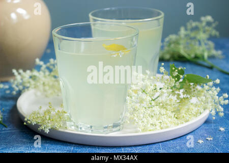 Kalte sokata - eine traditionelle rumänische Getränk aus den Blüten von Holunder und Zitrone, durch Fermentation hergestellt. Stockfoto