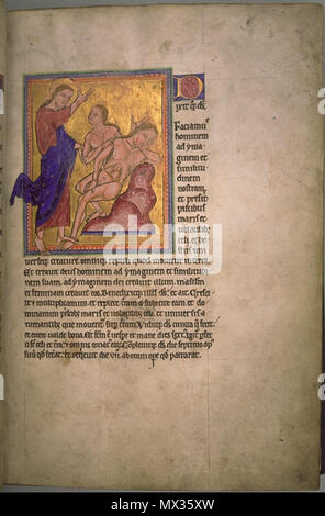 . Schaffung von Eva. Folio 3 recto vom Aberdeen Bestiary. 12. Jahrhundert 24 AberdeenBestiaryFolio 003 rCreationOfEve Stockfoto