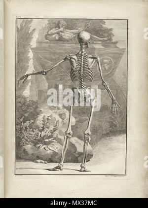 . Englisch: Autor: Schmidt, Bernhard Siegried, 1697-1770. Artist: Wandelaar, Jan, 1690-1759. Graveure: Charles Grignion (1717-1810); Jean-Baptiste Scotin (b. 1678); Ludovico-Antonio Ravenet (Fl. 1751); und Louis-Pierre Boitard (Fl. 1750). Titel: Tabulae sceleti et musculorum corporis Humani. Titel, wie es auf der Titelseite erscheint: Bernardi Siegfried Albini Tabulae sceleti et musculorum corporis Humani. Publikation: Londini: Typis H. Woodfall, impensis Johannis et Pauli Knapton, M.DCC. Xlix. [1749]. Sortierung: [94] S., XXV [d. h. 40] Blätter der Platten; 72 cm. Allgemeine Hinweise: Erste in Le veröffentlicht. Stockfoto