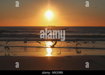 Leuchtturm Silhouette mit Vögel fliegen über Sonnenuntergang Stockfoto