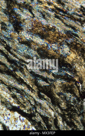 Schiefer. Metamorphe Gesteine. Pyrenäen. Spanien. Petrograhic Mikroskop Stockfoto
