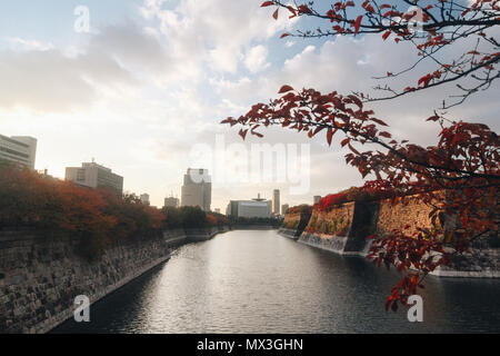 Osaka Castle Park ist eine Stadt und öffentlicher Park und historische Stätte in der Osaka-Jo gelegen und befindet sich in einem großen Bereich in der Mitte der Stadt Osaka. Diese p Stockfoto