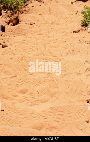 Hiker's Foot Prints in orange Sand auf Wanderweg. Stockfoto