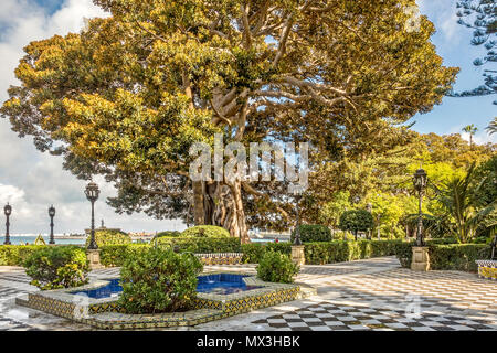 Alameda de Apodaca, Cadiz, Spanien Stockfoto