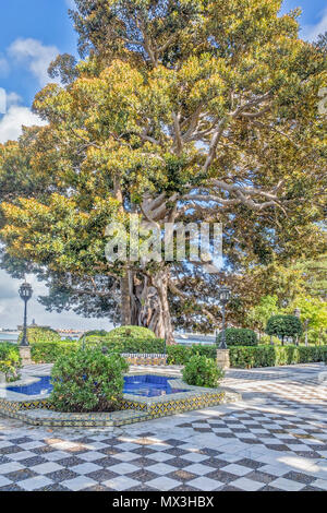 Alameda de Apodaca, Cadiz, Spanien Stockfoto