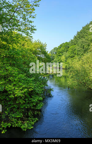 Ländliche River Test im Frühjahr in der Nähe seiner Mündung, untere Test Nature Reserve, Totton, Redbridge, Southampton, Hampshire, UK an einem sonnigen Tag mit blauen Himmel Stockfoto