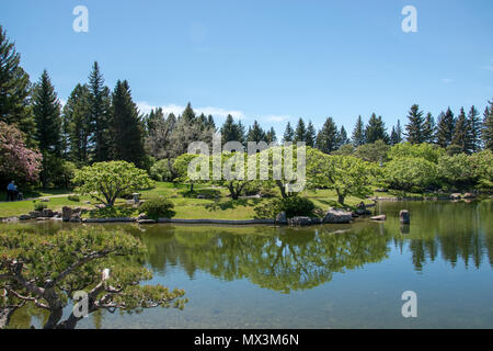 Eine wunderschöne Aussicht über den Teich an Nikka Yuko Japanischen Garten in Lethbridge, Alberta, eröffnet im Jahr 1967. Stockfoto