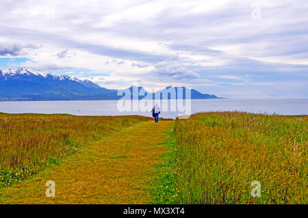 Berge und Küsten Wiese vor Kaikoura, Neuseeland Stockfoto