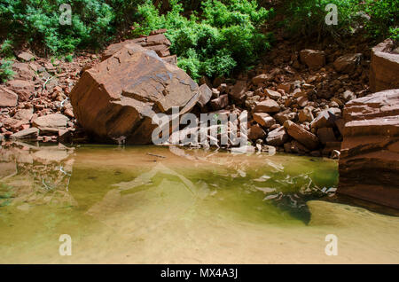 Upper Emerald Pool, Zion National Park, Pool von Wasser, große Steine und Felsbrocken mit grünen Sträuchern. Stockfoto