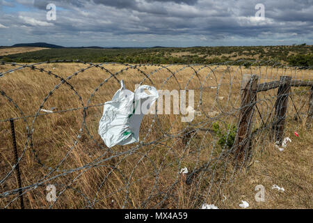 Weggeworfene Plastiktüten und andere Kunststoffe an einem Stacheldraht zaun entlang der Autobahn N2, etwas außerhalb von Port Elizabeth, Südafrika Stockfoto