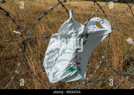 Weggeworfene Plastiktüten und andere Kunststoffe an einem Stacheldraht zaun entlang der Autobahn N2, etwas außerhalb von Port Elizabeth, Südafrika Stockfoto